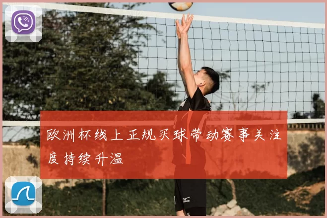 欧洲杯线上正规买球带动赛事关注度持续升温