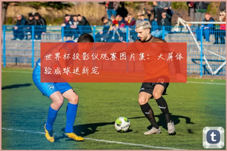 世界杯投影仪观赛图片集：大屏体验成球迷新宠