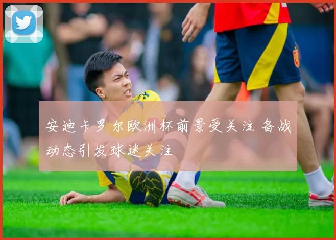 安迪卡罗尔欧洲杯前景受关注 备战动态引发球迷关注