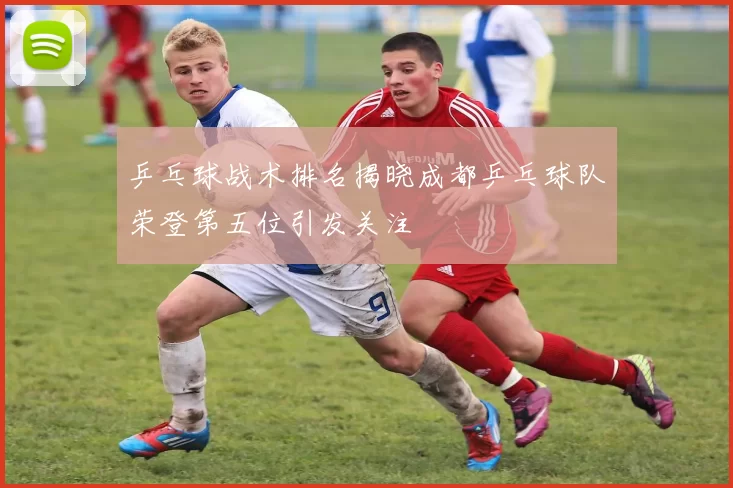 乒乓球战术排名揭晓成都乒乓球队荣登第五位引发关注