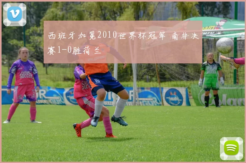 西班牙加冕2010世界杯冠军 南非决赛1-0胜荷兰