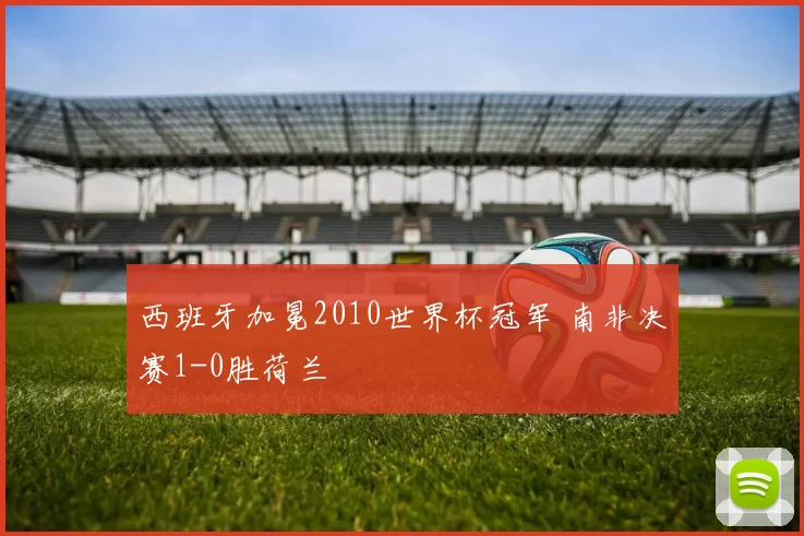 西班牙加冕2010世界杯冠军 南非决赛1-0胜荷兰