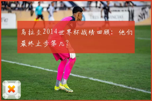 乌拉圭2014世界杯战绩回顾：他们最终止步第几？