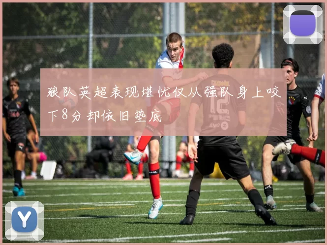 狼队英超表现堪忧仅从强队身上咬下8分却依旧垫底