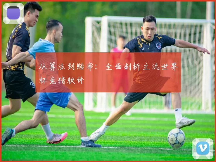 从算法到赔率：全面剖析主流世界杯竞猜软件