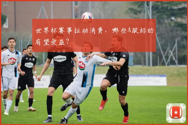 世界杯赛事拉动消费，哪些A股标的有望受益？